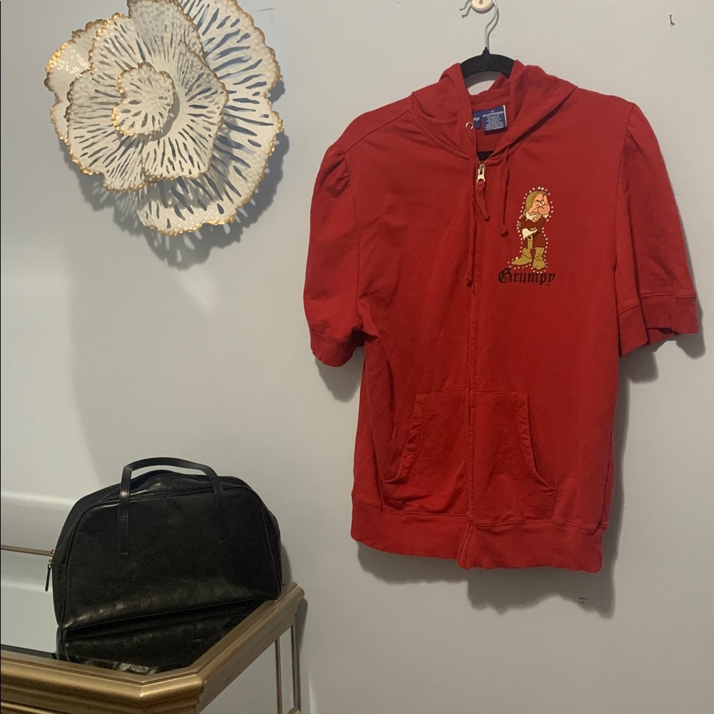 Disney Grumpy Tee Zip Up Hoodie 1x but PTP is 21.5 inches